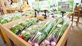農園工房ふたばの店頭で販売している新鮮野菜のイメージです。