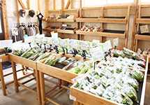 ふたばの直売所の店頭で販売している、ふたばで育てた野菜のイメージです。